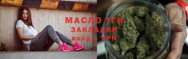 индика Михайловск