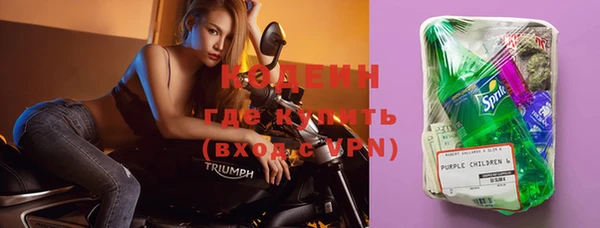 индика Михайловск