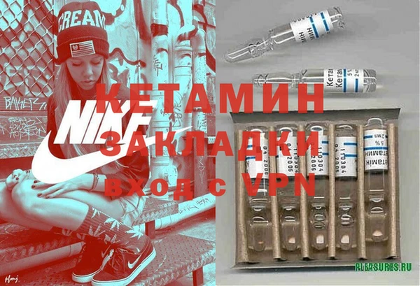 индика Михайловск