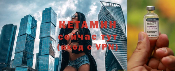 индика Михайловск