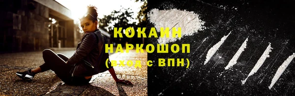 индика Михайловск