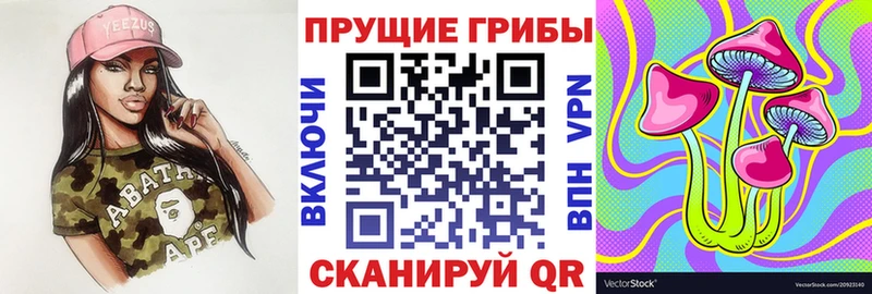 Псилоцибиновые грибы мицелий  Павлово 