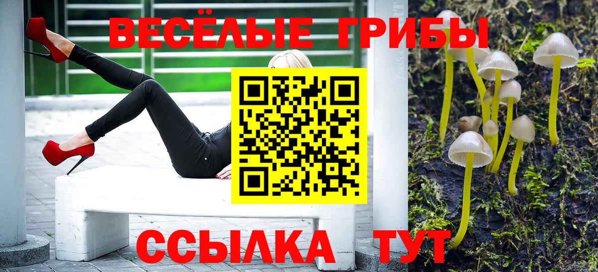 Павлово  Псилоцибиновые грибы Psilocybine cubensis  Вход с VPN 