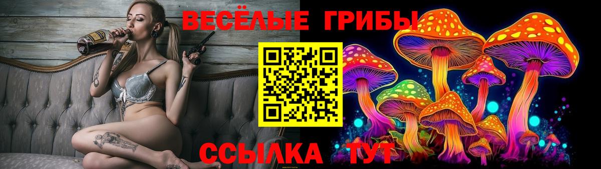 Псилоцибиновые грибы Magic Shrooms Павлово