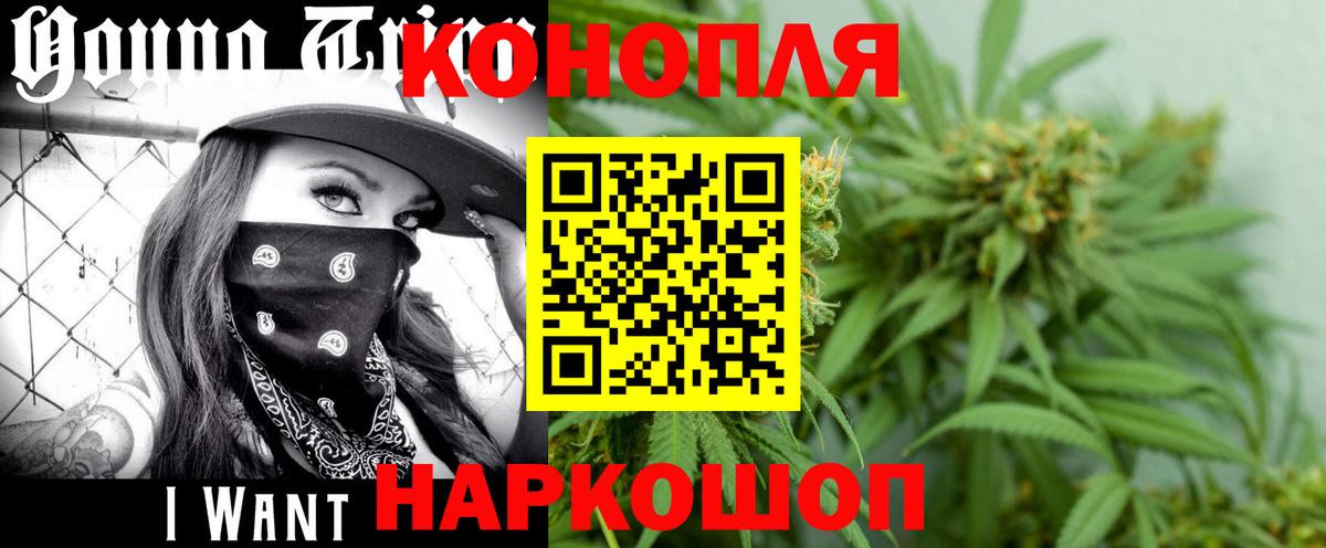 Марихуана VHQ  Вход с VPN  Бошки марихуана гибрид  Конопля тримм  Павлово  Бошки Шишки Bruce Banner 